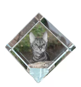 Toyger Cat - crystal cube with a picture of a cat, crystal with a picture of a horse, cubic paperweight by Art-Dog brand