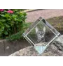 Toyger Cat - crystal cube with a picture of a cat, crystal with a picture of a horse, cubic paperweight by Art-Dog brand