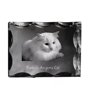 Turkish Angora Cat - crystal with a cat picture, glass statuette with a picture, unique frame with a picture from Art-Dog brand