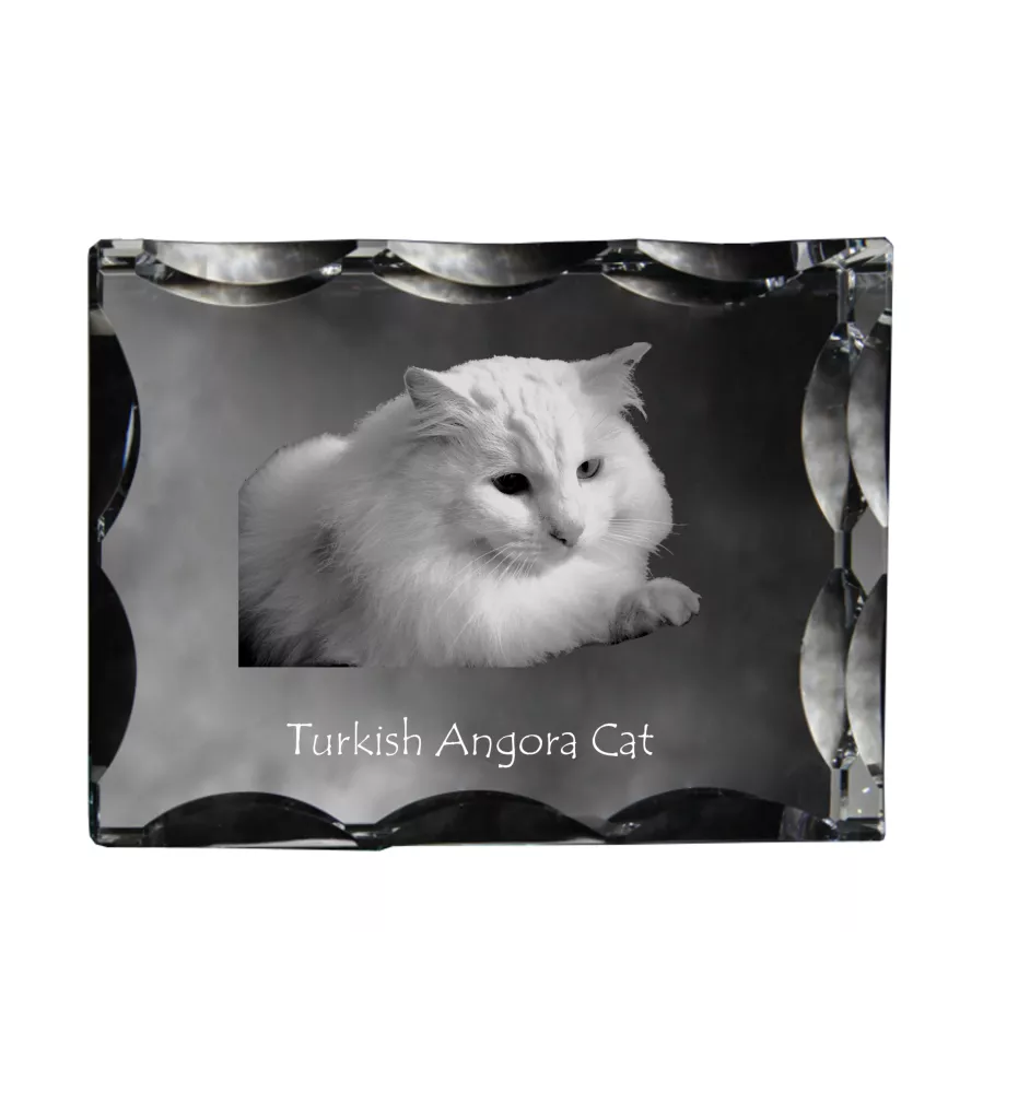 Turkish Angora Cat - crystal with a cat picture, glass statuette with a picture, unique frame with a picture from Art-Dog brand