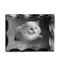 Türkisch Angorakatze - Kristall mit Katzenbild, Glasstatuette mit Bild, einzigartiger Bilderrahmen der Marke Art-Dog