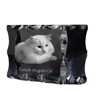 Türkisch Angorakatze - Kristall mit Katzenbild, Glasstatuette mit Bild, einzigartiger Bilderrahmen der Marke Art-Dog