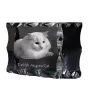 Chat Angora Turc - cristal avec une photo de chat, une statuette en verre avec une photo, un cadre exceptionnel avec une photo de la marque Art-Dog