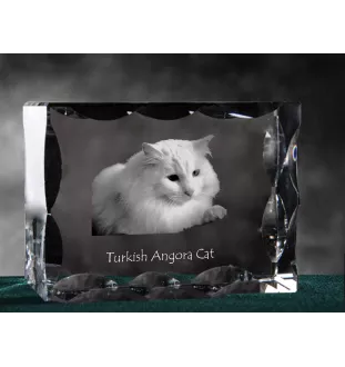 Turkish Angora Cat - crystal with a cat picture, glass statuette with a picture, unique frame with a picture from Art-Dog brand