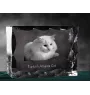 Turecka angora ramka kryształowa z kotem Art-Dog