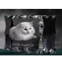 Chat Angora Turc - cristal avec une photo de chat, une statuette en verre avec une photo, un cadre exceptionnel avec une photo de la marque Art-Dog
