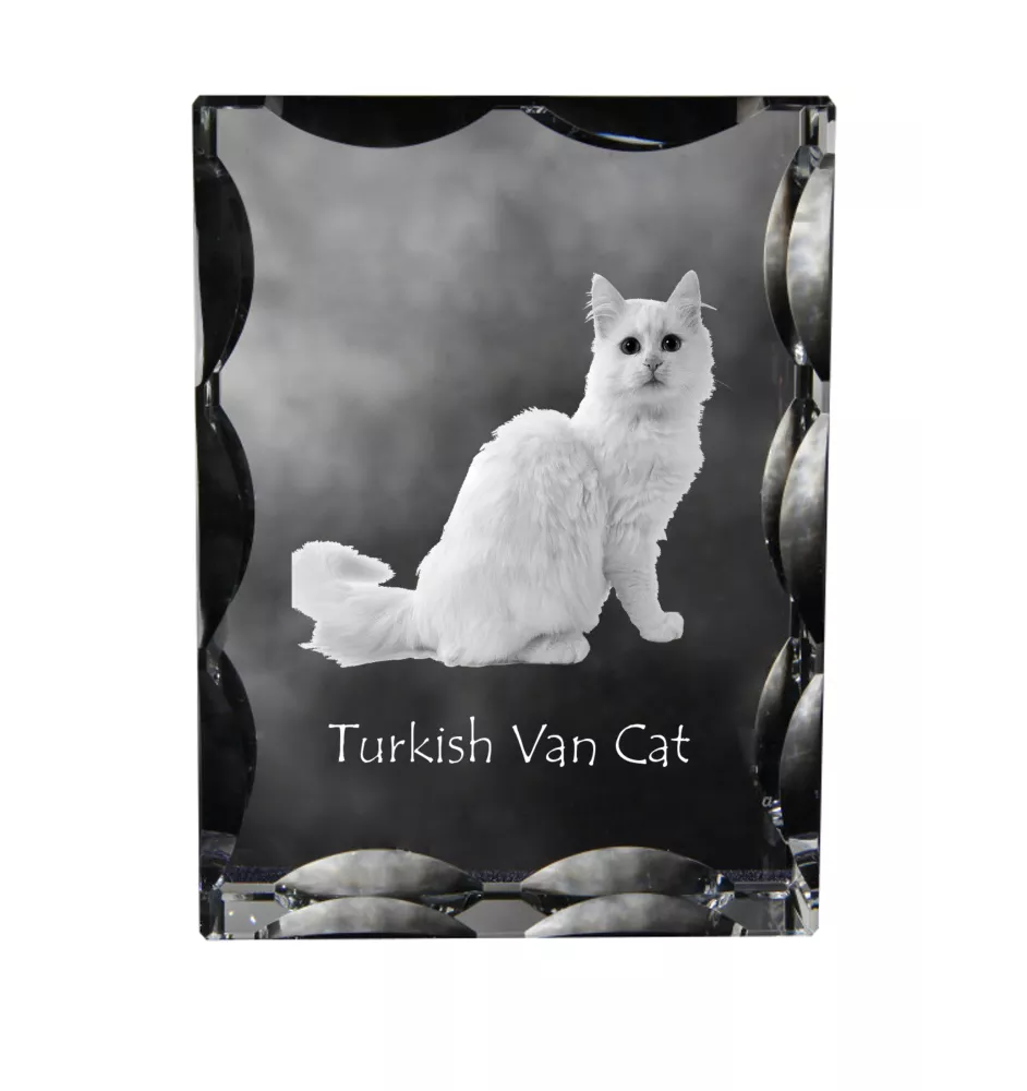 Türkisch Van Katze - Kristall mit Katzenbild, Glasstatuette mit Bild, einzigartiger Bilderrahmen der Marke Art-Dog
