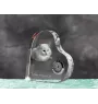Turecka angora zegar w kształcie serca z kotem Art-Dog