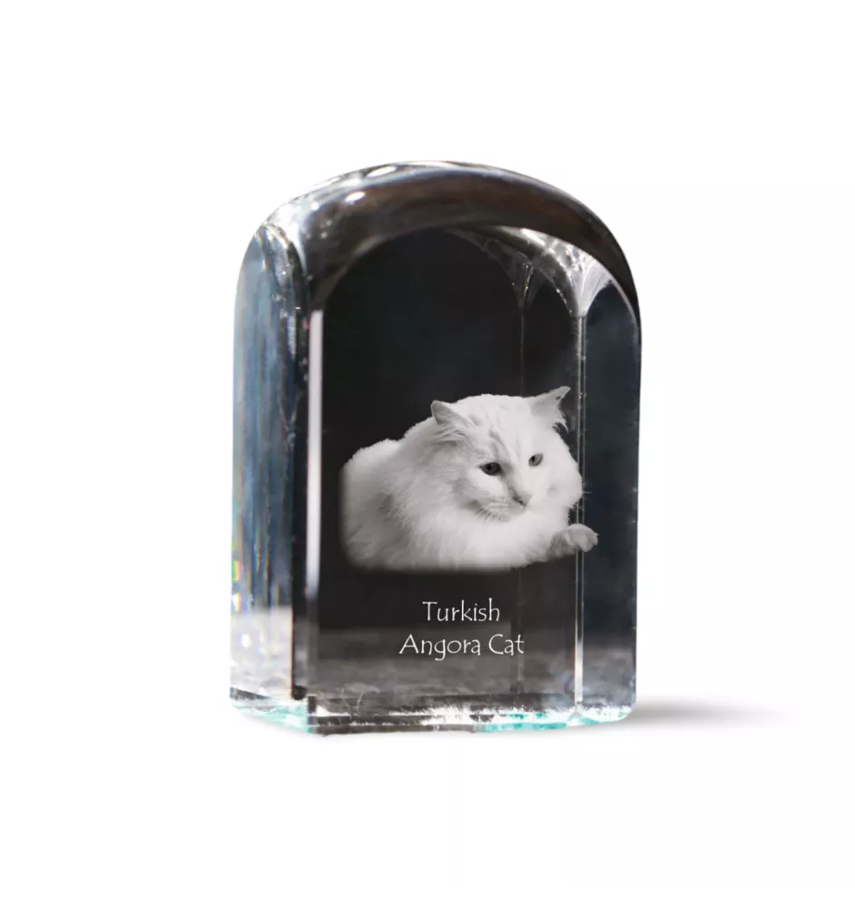Chat Angora Turc - un cube en cristal avec une photo, une photo de chat dans le cristal, un presse-papiers cubique de la marque Art-Dog