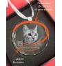 Turkish Angora Cat - crystal bauble with a photo, photo of a cat in crystal, personalized Christmas tree ornament by Art-Dog brand