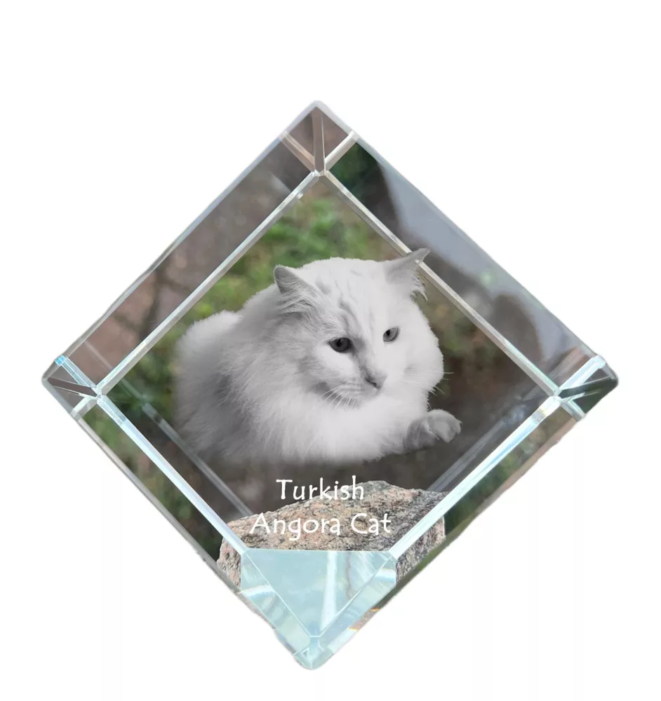 Chat Angora Turc - un cube en cristal avec une photo de chat, une photo de cheval dans le cristal, un presse-papiers cubique de la marque Art-Dog