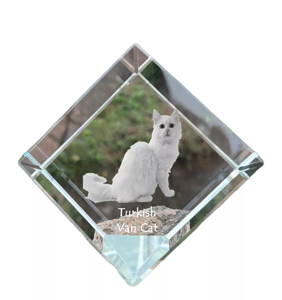 Türkisch Van Katze - Kristallwürfel mit Katzenbild, Pferdebild im Kristall, sechseckiger Papierclip von der Marke Art-Dog