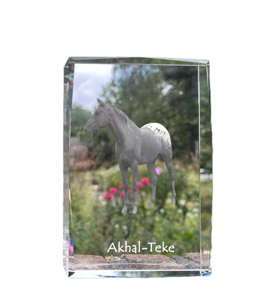 Akhal-Teke - cristal avec une photo de cheval, photo sous verre, exposition moderne de la marque de photos Art-Dog
