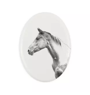 Akhal-Teke - Gedenktafel mit einem Pferdefoto, Grabplatte mit Druck, personalisierte ovale Platte von Art-Dog.