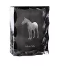 Akhal-Teke - Kristall mit einem Pferdebild, Glasstatuette mit einem Bild, einzigartiger Bilderrahmen der Marke Art-Dog