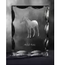 Akhal-Teke - crystal with a picture of a horse, glass statuette with a picture, unique frame with a picture from Art-Dog brand