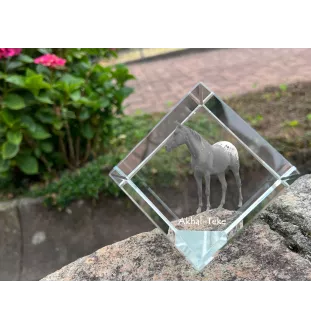 Akhal-Teke - crystal cube with a horse picture, horse picture in crystal, cubic paperweight from Art-Dog brand