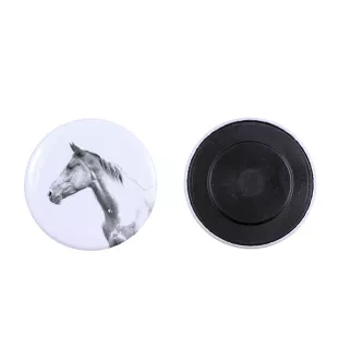 Akhal-Teke - Magnet mit Pferd, ein einzigartiges Abdruck des Pferdes der Marke Art-Dog