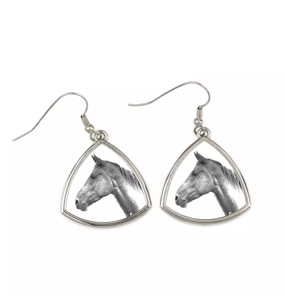 Akhal-Teke - boucles d'oreilles avec un cheval, boucles d'oreilles pendantes avec une image, bijoux personnalisés avec l'impression de la marque Art-Dog