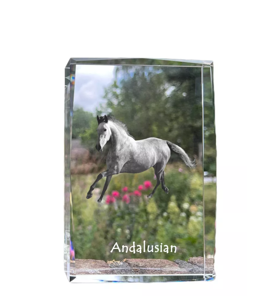 Andalou - cristal avec une photo de cheval, photo sous verre, exposition moderne de la marque de photos Art-Dog