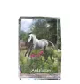 Andalou - cristal avec une photo de cheval, photo sous verre, exposition moderne de la marque de photos Art-Dog