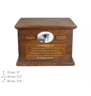 American Saddlebred Urn für Pferdeasche, personalisierte Urne mit Foto, große Box für Pferdeasche von der Marke Art-Dog