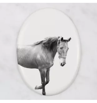 American Saddlebred płyta nagrobna z koniem Art-Dog