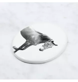 Cheval de selle américain - une plaque commémorative avec une photo de cheval, une plaque funéraire avec une impression, une plaque ovale personnalisée de la marque Art-Dog