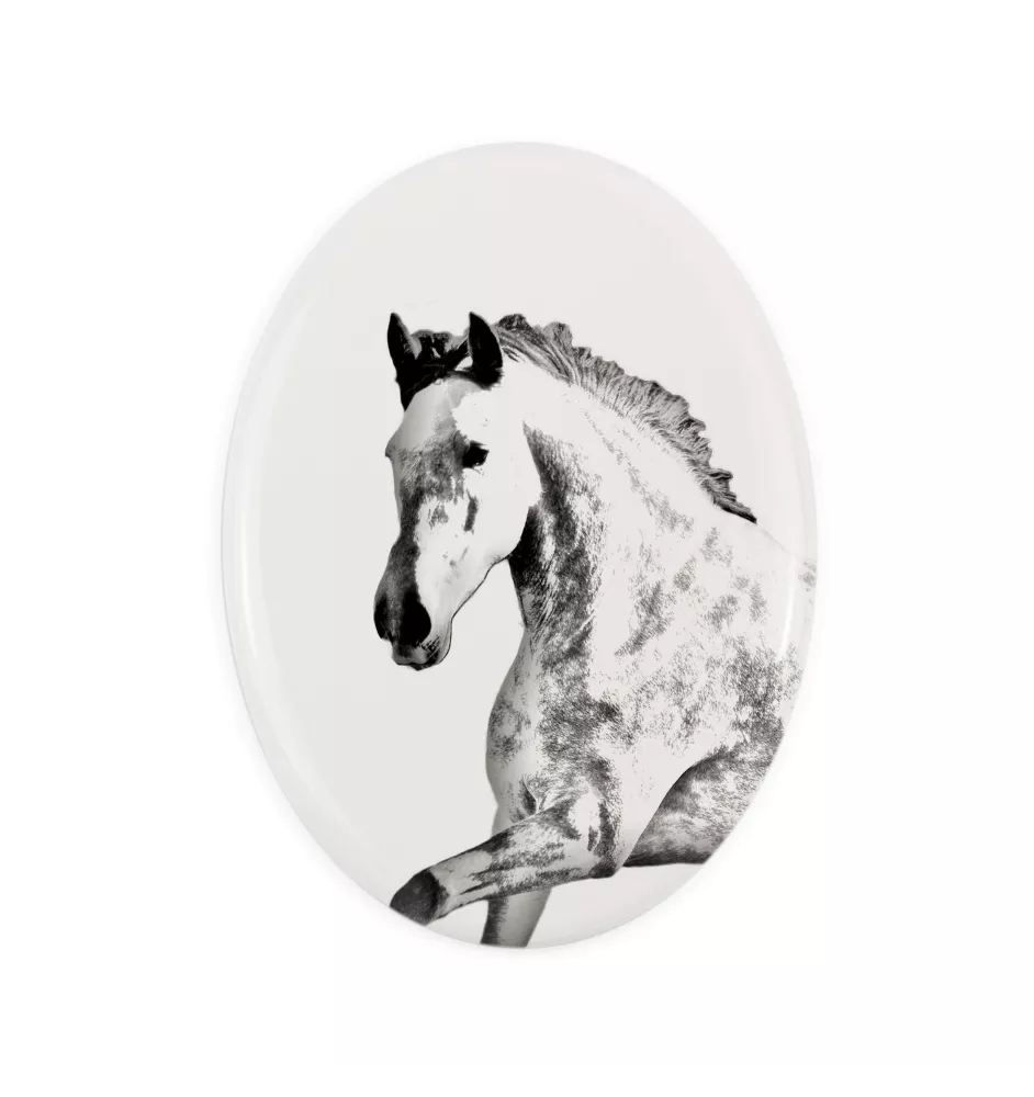 Andalusier - Gedenktafel mit einem Pferdefoto, Grabplatte mit Druck, personalisierte ovale Platte von Art-Dog.