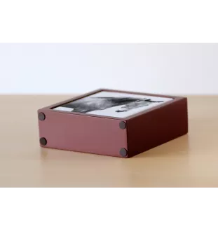 American Saddlebred - Stifthalter mit Pferd, Schreibtischorganizer mit Aufdruck, personalisierte Schreibtischdekoration der Marke Art-Dog