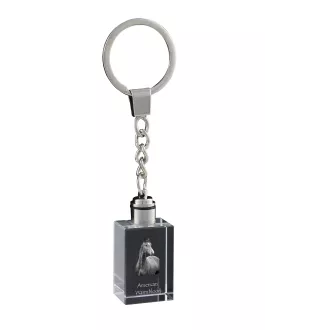 American Warmblood - Crystal pendant with photo of a horse, illuminated pendant, unique gift by Art-Dog brand