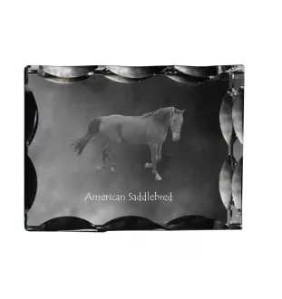 American Saddlebred - kryształ ze zdjęciem konia, szklana statuetka ze zdjęciem, wyjątkowa ramka ze zdjęciem marki Art-Dog