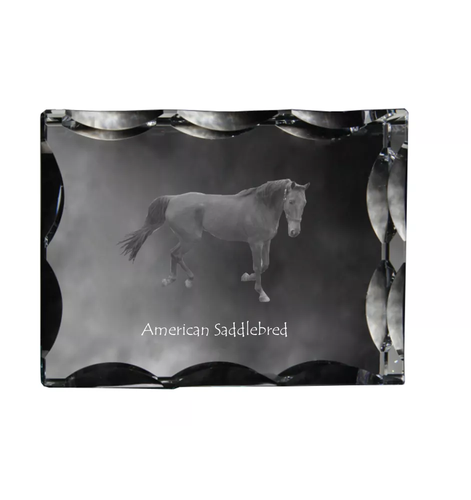 American Saddlebred ramka kryształowe z koniem Art-Dog