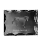 American Saddlebred - kryształ ze zdjęciem konia, szklana statuetka ze zdjęciem, wyjątkowa ramka ze zdjęciem marki Art-Dog