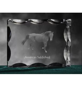 American Saddlebred - crystal with a picture of a horse, glass statuette with a picture, unique frame with a picture from Art-Dog brand