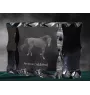 American Saddlebred - crystal with a picture of a horse, glass statuette with a picture, unique frame with a picture from Art-Dog brand