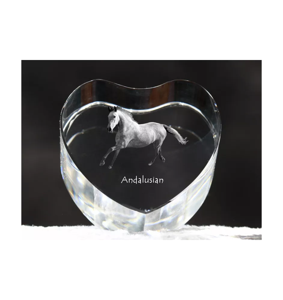 Andalusian - a photo of a horse in crystal, a crystal heart, a unique frame with a photo from the Art-Dog brand