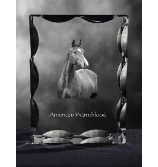 Amerikanisches Warmblut - crystal with a picture of a horse, glass statuette with a picture, unique frame with a picture from Art-Dog brand