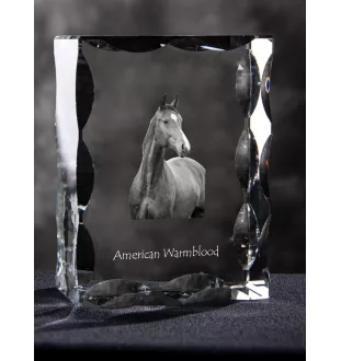 Amerikanisches Warmblut - crystal with a picture of a horse, glass statuette with a picture, unique frame with a picture from Art-Dog brand
