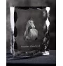 Amerikanisches Warmblut - crystal with a picture of a horse, glass statuette with a picture, unique frame with a picture from Art-Dog brand
