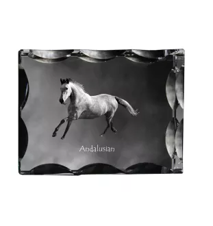 Andalusier - crystal with a picture of a horse, glass statuette with a picture, unique frame with a picture from Art-Dog brand