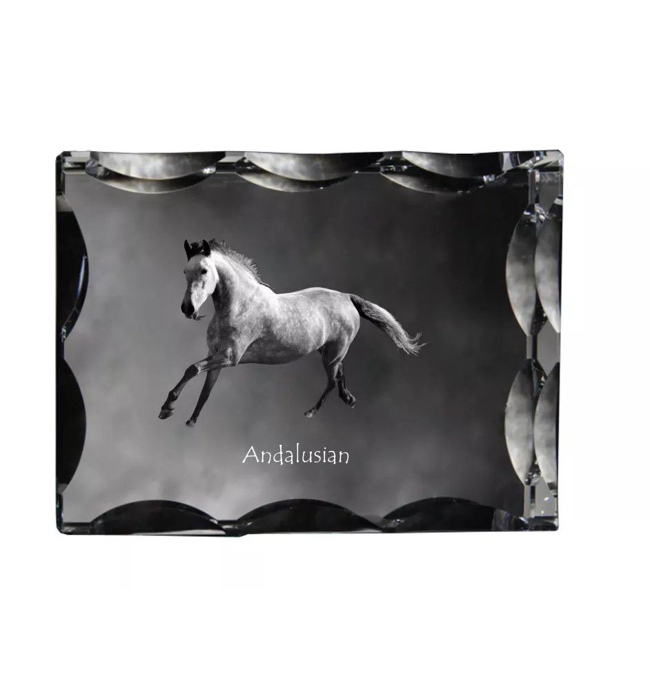 Andalusier - crystal with a picture of a horse, glass statuette with a picture, unique frame with a picture from Art-Dog brand