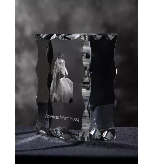 American Warmblood - kryształ ze zdjęciem konia, szklana statuetka ze zdjęciem, wyjątkowa ramka ze zdjęciem marki Art-Dog
