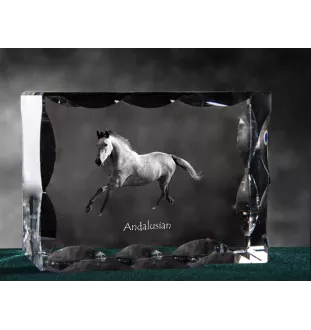 Andalusier - crystal with a picture of a horse, glass statuette with a picture, unique frame with a picture from Art-Dog brand