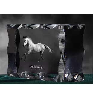 Andalusier - crystal with a picture of a horse, glass statuette with a picture, unique frame with a picture from Art-Dog brand