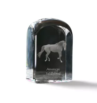 American Saddlebred - crystal cube with a photo, photo of a horse in crystal, cubic paperweight from Art-Dog brand