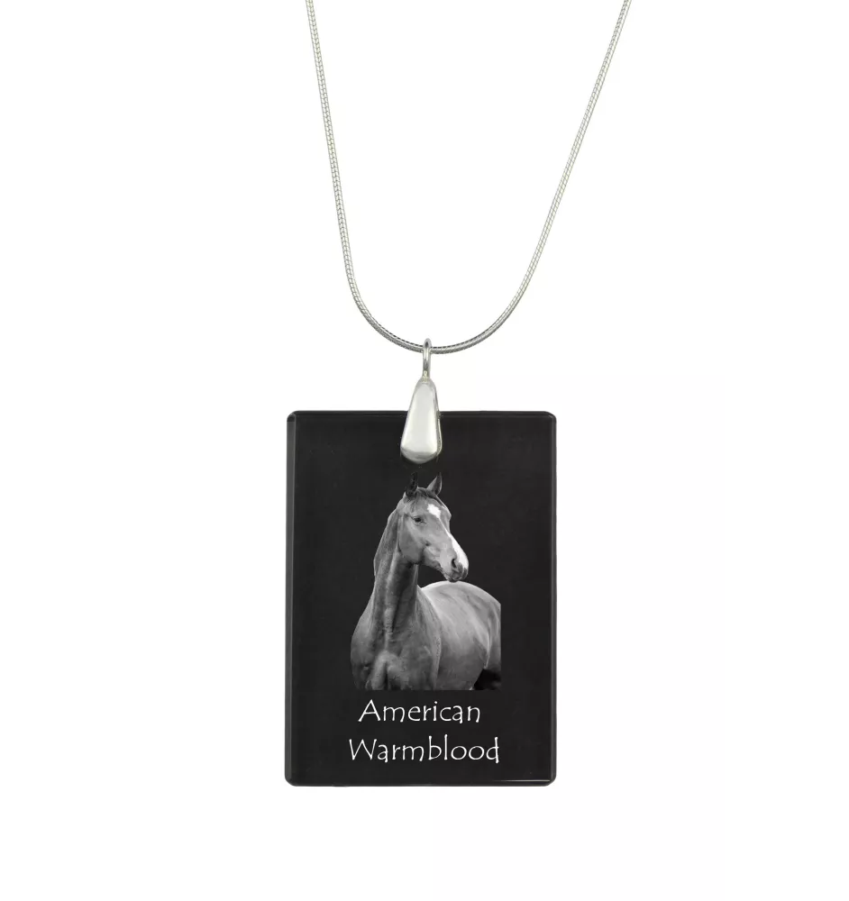 American Warmblood - Crystal pendant with horse, silver necklace with photo, personalised pendant by Art-Dog brand