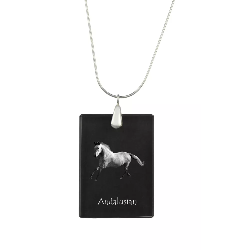 Andalusier - Crystal pendant with horse, silver necklace with photo, personalised pendant by Art-Dog brand