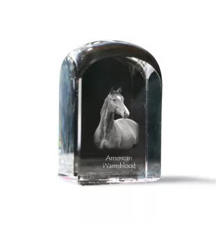 Cheval de sang américain - un cube de cristal avec une photo, une photo de cheval dans le cristal, un presse-papiers cubique de la marque Art-Dog
