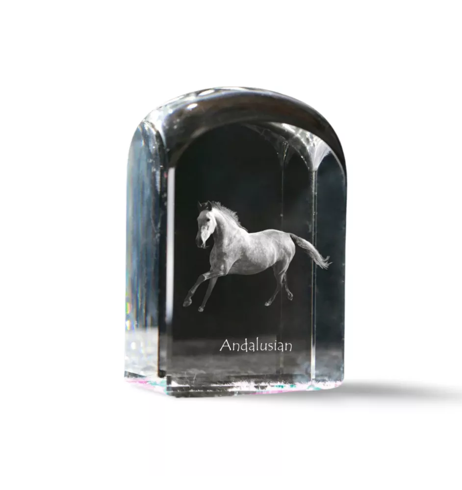 Andalusian - crystal cube with a photo, photo of a horse in crystal, cubic paperweight from Art-Dog brand